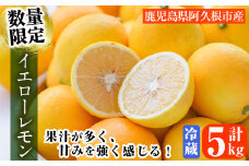 ＜先行予約受付中！2026年4月以降順次発送予定＞数量限定！冷蔵品マイヤーイエローレモン(5kg) 国産 マイヤーレモン 檸檬 オレンジ 果実 果物 フルーツ 柑橘 デザート 期間限定【桐野柑橘株式会社】akn070-13