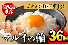 i020 鹿児島県産の赤たまご！マルイの輪(たまご)×36個(6個入り×6パック)養鶏の専門農協で一貫して生産された国産生玉子！  業務用 国産 九州産 生卵 卵 たまご 玉子 鶏卵 鶏 M玉 TKG 卵焼き 食品 【マルイ食品】