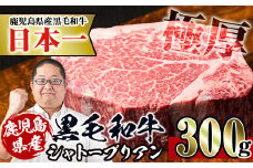 i216 鹿児島県産！黒毛和牛シャトーブリアン(300g以上)  牛肉 肉 黒毛和牛 国産 フィレ肉 シャトーブリアン 希少 希少部位 絶品 安心安全 冷凍 【スーパーよしだ】