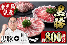 i360 鹿児島県産黒豚しゃぶしゃぶ・和牛ハンバーグセット(黒豚肩ロース400g・黒豚バラ400g・ハンバーグ7個)  豚肉 黒豚 国産 食べ比べ 詰め合わせ セット 鹿児島県産 肩ロース ロース バラ バラ肉 ハンバーグ  料理 晩御飯 おかず 【スーパーよしだ】