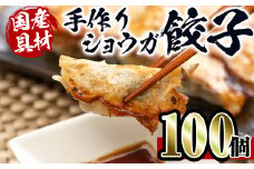 i393 国産豚肉使用！手作りショウガ餃子100個セット(10個×10パック たれ付き） 餃子 ぎょうざ ニンニク不使用 しょうが 生姜 冷凍 おかず おつまみ 惣菜 小分け 国産原料【スーパーよしだ】