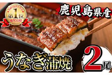 i505 鹿児島県産うなぎ蒲焼2尾セット(約140g×2・計約280g) うなぎ 鰻 ウナギ 2尾 蒲焼き 国産 鹿児島県産 焼きたて 生産量日本一 真空パック おかず 晩御飯 特別な日 土用の丑の日【薩摩川内鰻】