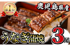 i506 鹿児島県産うなぎ蒲焼3尾セット(約140g×3・計約420g) うなぎ 鰻 ウナギ 3尾 蒲焼き 国産 鹿児島県産 焼きたて 生産量日本一 真空パック おかず 晩御飯 特別な日 土用の丑の日 【薩摩川内鰻】