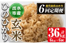 i542 ＜定期便・計6回(連続)＞鹿児島県出水市産ひのひかり玄米＜(3kg×2袋・計6kg)×全6回＞ 米 玄米 お米 6kg 計36kg 定期便 国産 ヒノヒカリ おにぎり 自家脱穀 ごはん お米マイスター 厳選 【田上商店】