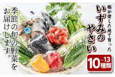 i628 鶴が愛した地で育ったいずみのやさいおまかせ野菜セット(10～13種類) 野菜 詰め合わせ セット 国産 鹿児島県産 市場直送 旬 季節 何が届くかはお楽しみ【How to 21 Club】