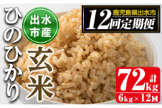 i663 ＜定期便・計12回(連続)＞鹿児島県出水市産ひのひかり玄米＜(3kg×2袋・計6kg)×全12回＞ 米 玄米 お米 6kg 計72kg 定期便 国産 ヒノヒカリ おにぎり 自家脱穀 ごはん お米マイスター 厳選 【田上商店】