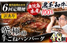 i689 ＜定期便・計6回(隔月)＞【訳あり】鹿児島県産！黒毛和牛の究極の手ごねハンバーグ(総計48個・100g×8個×6回)  ハンバーグ 牛肉 黒毛和牛 100％ 国産 冷凍 おかず 定期便 エコパッケージ 小分け 手ごねハンバーグ 安心安全 簡単調理【スーパーよしだ】