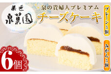 i787 チーズケーキ・泉の貴婦人プレミアム(プレーン3個・みかん3個・合計6個)  お菓子 レアチーズ スフレチーズ スイーツ グルメ 洋菓子 デザート ギフト プレゼント  贈答 冷凍【泉菓園】