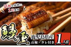i799 鹿児島県産 鰻重(1人前) うなぎ 鰻 ウナギ うな重 国産 鹿児島県産 おかず 晩御飯 特別な日 土用の丑の日【とらふぐ家】