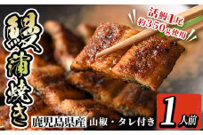 i800 鹿児島県産 うなぎ蒲焼(1尾) うなぎ 鰻 ウナギ 蒲焼 国産 鹿児島県産 おかず 晩御飯 特別な日 土用の丑の日【とらふぐ家】
