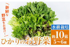 i849 ひかりのお野菜(約10束・5～6種) 国産 野菜 やさい 葉物 旬 ほうれん草 水菜 チンゲン菜 小松菜 リーフレタス ルッコラ 水耕栽培 ミックスリーフ 山東白菜 何が届くかはお楽しみ【ひかりの郷】