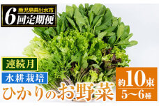i678-B ＜定期便・計6回(連続月)＞ひかりのお野菜(約10束・5～6種) 野菜 やさい 葉物 旬 定期便 ほうれん草 水菜 チンゲン菜 小松菜 リーフレタス ルッコラ 水耕栽培 ミックスリーフ 山東白菜  何が届くかはお楽しみ【ひかりの郷】