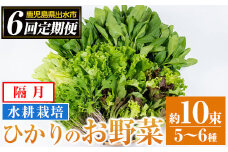 i678-A ＜定期便・計6回(隔月)＞ひかりのお野菜(約10束・5～6種) 野菜 やさい 葉物 旬 定期便 ほうれん草 水菜 チンゲン菜 小松菜 リーフレタス ルッコラ 水耕栽培 ミックスリーフ 山東白菜  何が届くかはお楽しみ【ひかりの郷】