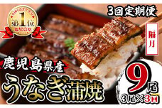 i854-B ＜定期便・計3回(隔月)＞鹿児島県産うなぎ蒲焼3尾セット＜(約140g×3・計約420g)×全3回＞ うなぎ 鰻 ウナギ 2尾 蒲焼き 国産 鹿児島県産 焼きたて 生産量日本一 真空パック おかず 晩御飯 特別な日 土用の丑の日【薩摩川内鰻】