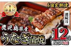 i938-A ＜定期便・計6回(連続月)＞鹿児島県産うなぎ蒲焼2尾セット＜(約140g×2・計約280g)×全6回＞定期便 うなぎ 鰻 ウナギ 2尾 蒲焼き 国産 鹿児島県産 焼きたて 生産量日本一 真空パック おかず 晩御飯 特別な日 土用の丑の日【薩摩川内鰻】