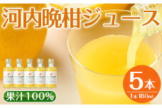 i990-A 河内晩柑ジュース(180ml×5本) 飲料 ジュース みかん 蜜柑 果汁 100% 河内晩柑 無着色 無香料 ストレートジュース 安心安全 ギフト 贈り物 贈答【江崎果樹園】