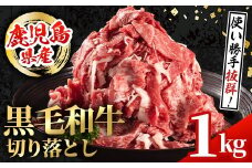i1000 鹿児島県産 黒毛和牛 切り落とし (計1kg・500g×2パック) 国産 九州産 鹿児島産 黒毛和牛 牛肉 国産牛 切り落とし 切落し 小分け 冷凍配送 【スターゼン】