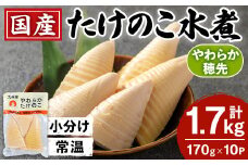 i1056 国産たけのこ水煮 穂先のみ (計1.7kg・170g×10P) 小分け 国産 九州産 たけのこ 筍 タケノコ  水煮 常温保存 常温 料理 煮物 炊き込みご飯 おでん 料理 お手軽 【旬彩館】