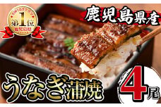 i1077 鹿児島県産うなぎ蒲焼4尾セット(約140g×4・計約560g) うなぎ 鰻 ウナギ 4尾 蒲焼き 国産 鹿児島県産 焼きたて 生産量日本一 真空パック おかず 晩御飯 特別な日 土用の丑の日 丑の日 【薩摩川内鰻】