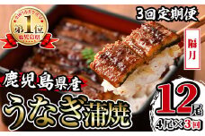 i1083-B ＜定期便・計3回(隔月)＞鹿児島県産うなぎ蒲焼4尾セット＜(約140g×4・計約560g)×全3回＞ うなぎ 鰻 ウナギ 4尾 蒲焼き 国産 鹿児島県産 焼きたて 生産量日本一 真空パック おかず 晩御飯 特別な日 土用の丑の日 丑の日 定期便 【薩摩川内鰻】
