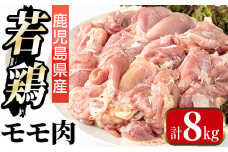 i1090-B 鹿児島県産 若鶏モモ肉(計8kg・2kg×4袋) 鶏肉 鳥肉 もも肉 とり肉 国産 鹿児島県産 2kg 8kg 安心安全 冷凍 【まつぼっくり】