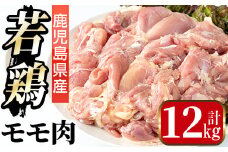 i1090-C 鹿児島県産 若鶏モモ肉(計12kg・2kg×6袋) 鶏肉 鳥肉 もも肉 とり肉 国産 鹿児島県産 2kg 12kg 安心安全 冷凍 【まつぼっくり】