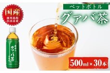 i1137-B グァバ茶PET(神秘也)500ml×30本 お茶 茶 国産 グァバ葉 ノンカフェイン ポリフェノール 血糖値 コレステロール ペットボトル 【出水酒造 izumi-syuzou】