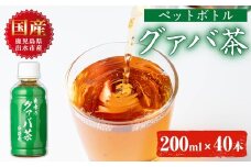 i1137-A グァバ茶PET(神秘也)200ml×40本 お茶 茶 国産 グァバ葉 ノンカフェイン ポリフェノール 血糖値 コレステロール ペットボトル 【出水酒造 izumi-syuzou】