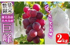 i855 ≪数量・期間限定≫巨峰(計2kg) ぶどう 果物 くだもの 巨峰 葡萄 旬 歯ごたえ 冷蔵 フルーツ 鹿児島県産 出水市【山門ぶどう園】