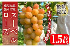 i1117-B ≪数量・期間限定≫ ヌーベルローズ (計約1.5kg) 国産 鹿児島 出水市 ぶどう ブドウ 果物 くだもの フルーツ ヌーベルローズ 葡萄 旬 種なし 旬 歯ごたえ 冷蔵 【山門ぶどう園】