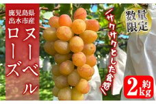i1117-C ≪数量・期間限定≫ ヌーベルローズ (計約2kg) 国産 鹿児島 出水市 ぶどう ブドウ 果物 くだもの フルーツ ヌーベルローズ 葡萄 旬 種なし 旬 歯ごたえ 冷蔵 【山門ぶどう園】