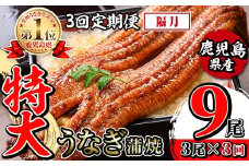 i1174-B ＜定期便・計3回(隔月)＞＼特大サイズ／鹿児島県産 うなぎ蒲焼 3尾セット＜（約220g×3・計約660g）×全3回＞ 定期便 たれ 山椒付きうなぎ 鰻 ウナギ 特大 特大サイズ 約220g 蒲焼き 国産 鹿児島県産 焼きたて 生産量日本一 真空パック おかず 晩御飯 特別な日 土用の丑の日 【薩摩川内鰻】
