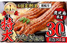 i1177-A ＜定期便・計6回(連続月)＞＼特大サイズ／鹿児島県産 うなぎ蒲焼 5尾セット ＜（約220g×5・計約1100g）×全6回＞ 定期便 たれ 山椒付きうなぎ 鰻 ウナギ 特大 特大サイズ 約220g 蒲焼き 国産 鹿児島県産 焼きたて 生産量日本一 真空パック おかず 晩御飯 特別な日 土用の丑の日 【薩摩川内鰻】