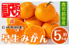 i1069-B ＜先行予約受付中！2025年12月の間に発送予定＞ ＜数量・期間限定＞《傷ありのため訳あり》鹿児島みかん 早生系 (約5kg) みかん 蜜柑 ミカン 柑橘 早生 果物 フルーツ 果実 国産 鹿児島 訳あり 数量限定 期間限定 【江崎果樹園】