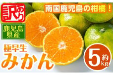 i1170 《訳あり！数量・期間限定》鹿児島みかん（極早生系・約5kg） みかん 蜜柑 ミカン 柑橘 極早生 10kg 果物 フルーツ 果実 国産 鹿児島 訳あり 【江崎果樹園】