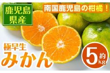 i1171 《数量・期間限定》鹿児島みかん（極早生系・約5kg） みかん 蜜柑 ミカン 柑橘 極早生 10kg 果物 フルーツ 果実 国産 鹿児島 訳あり 【江崎果樹園】