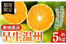 i985 《先行予約受付中！2025年10月上旬から発送予定》早生温州 (5kg) 数量限定 みかん 柑橘 果物 くだもの フルーツ 旬 温州みかん ミカン オレンジ 早生 【アーステクノ】