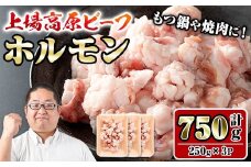 i1156 上場高原ビーフ 小腸(計750g・250g×3P) 上場高原ビーフ ホルモン 焼肉 鉄板焼き もつ鍋 炒めもの 冷凍 小分け 【スーパーよしだ】