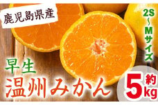 i627 《先行予約受付中！2025年10月中旬～10月下旬にかけて発送》早生温州みかん(約5kg) 国産 鹿児島県産 温州みかん みかん 柑橘 種果物 果物 くだもの フルーツ 旬 糖度抜群 【JA鹿児島いずみ(果実課)】