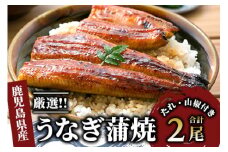 鹿児島産厳選うなぎ蒲焼セット2尾(指宿屋/022-1313)国産 鰻 指宿市