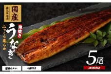 【鹿児島県産】うなぎ蒲焼じっくり焼き約165g×5尾 化粧箱入り(大新/037-1106)  うなぎ 国産 鹿児島 蒲焼 丑の日 丑 土用丑の日 
