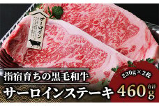 ＜A4ランク未経産黒毛和牛＞ サーロインステーキ230g×2枚(Meat you/037-1183) 高級未経産ステーキ ステーキ 和牛