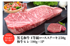 和牛A4ロースステーキ250g+和牛ヒレステーキ100g+黒豚生ハム1P100g(水迫畜産/016-1720) 肉 牛 牛肉 ステーキ バーベキュー 黒豚 生ハム いぶすき 鹿児島