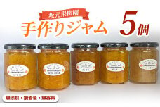 みかん農家坂元さんちの手作りジャム5個セット(無添加・無着色・無香料) (坂元果樹園/010-1951) おまかせ５種 こだわりのマーマレード 手作り ジャム 無添加 柑橘 不知火 しらぬい はっさく ポンカン 金柑 キンカン スモモ 等 国産 ギフト 贈答品 贈り物