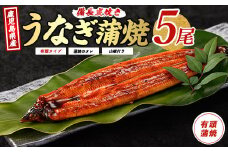 【鹿児島県産】鰻蒲焼5尾(奈良/036-1312) うなぎ 国産 鹿児島 蒲焼 丑の日 丑 土用丑の日 