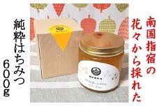 南国指宿の花々から採れた純粋 はちみつ 600g(鶴田養蜂場/A-132) はちみつ 蜂蜜 ハチミツ 蜂みつ 蜂ミツ はち蜜 ハチ蜜 はちみつ 蜂蜜 ハチミツ