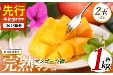 【2026年 発送】しあわせ完熟マンゴー2～3玉入り(マンゴーの森/022-1769) マンゴー フルーツ 果物 旬 夏 指宿 いぶすき 鹿児島  完熟  お供え 御供 ギフト 贈り物 プレゼント グルメ 予約 先行予約 南国 南国フルーツ 果実 マンゴー グランプリ マイスター 太陽 国産 鹿児島県産 果汁