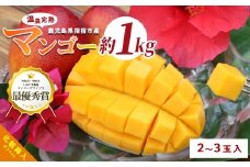 【2025年 発送】鹿児島県いぶすき産 温泉完熟マンゴー約1kg(T&P/022-1752) マンゴー フルーツ 果物 旬 夏 指宿 いぶすき 鹿児島  完熟  お供え 御供 ギフト 贈り物 プレゼント グルメ 予約 先行予約 南国 南国フルーツ 果実 マンゴー 太陽 国産 鹿児島県産 果汁