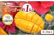 【2026年 発送 先行予約】鹿児島県いぶすき産 温泉完熟マンゴー約1kg(T&P/022-1752) マンゴー フルーツ 果物 旬 夏 指宿 いぶすき 鹿児島  完熟  お供え 御供 ギフト 贈り物 プレゼント グルメ 予約 先行予約 南国 南国フルーツ 果実 マンゴー 太陽 国産 鹿児島県産 果汁