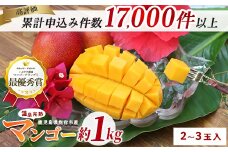 【2025年 発送】【訳あり】鹿児島県いぶすき産 温泉完熟マンゴー約1kg(T&P/016-1750) マンゴー フルーツ 果物 旬 夏 指宿 いぶすき 鹿児島  完熟  グルメ 南国 南国フルーツ 果実 マンゴー 太陽 国産 鹿児島県産 果汁 規格外 